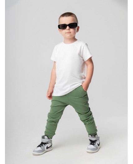 Брюки 115-МБ9ДП оливковый