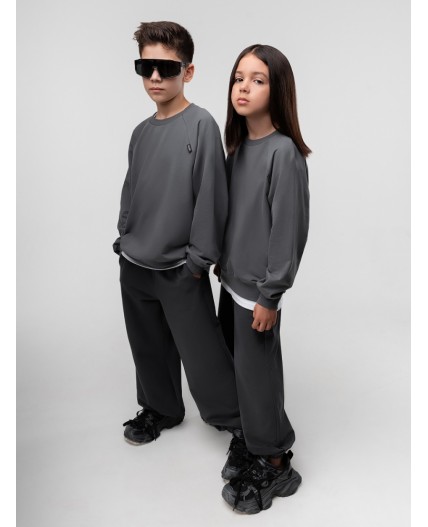 Брюки 37-81MU; темно-серый