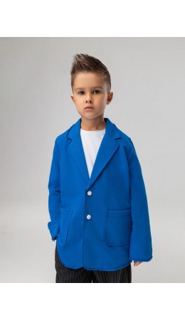 Пиджак 20-270MU; синий