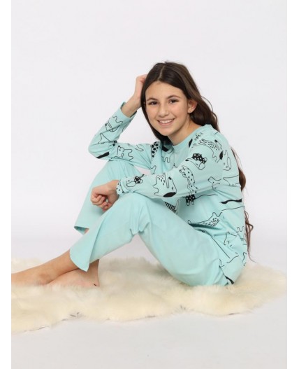 Пижама для девочки (джемпер, брюки) Св.бирюзовый