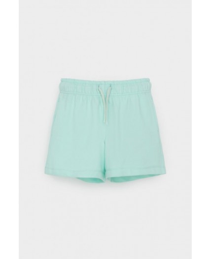 КР 400548-1/зеленый ручей к541 шорты