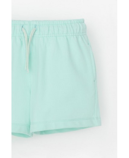 КР 400548-1/зеленый ручей к541 шорты