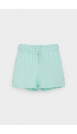 КР 400548/зеленый ручей к541 шорты