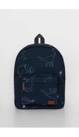 АКС 1001/171 ГР рюкзак