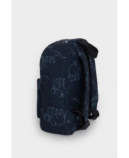 АКС 1001/171 ГР рюкзак