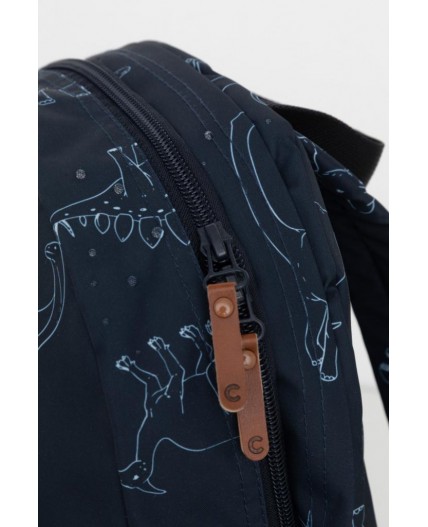 АКС 1001/171 ГР рюкзак