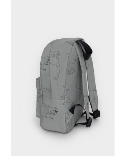 АКС 1001/170 ГР рюкзак