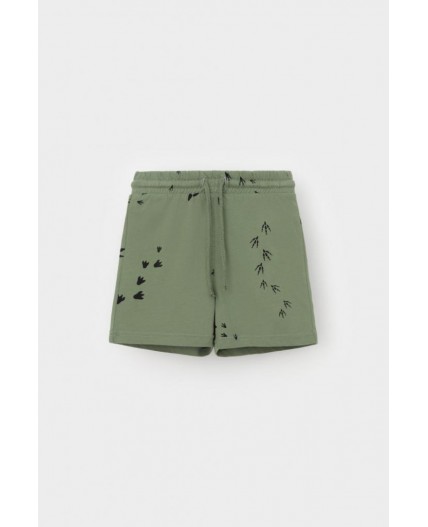 КР 400666/папоротник,следы динозавра к538 шорты