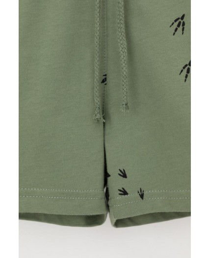 КР 400666/папоротник,следы динозавра к538 шорты