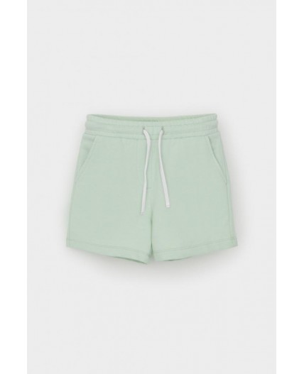 КР 400417-1/пастельно-зеленый к545 шорты