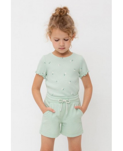 КР 400417-1/пастельно-зеленый к545 шорты