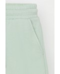 КР 400417-1/пастельно-зеленый к545 шорты