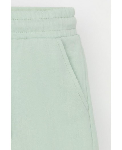 КР 400417-1/пастельно-зеленый к545 шорты