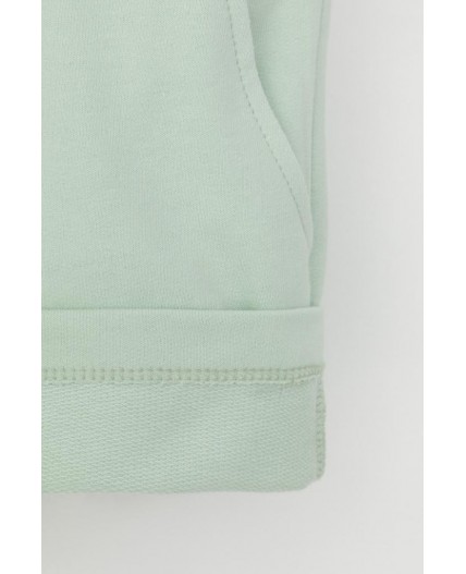 КР 400417-1/пастельно-зеленый к545 шорты