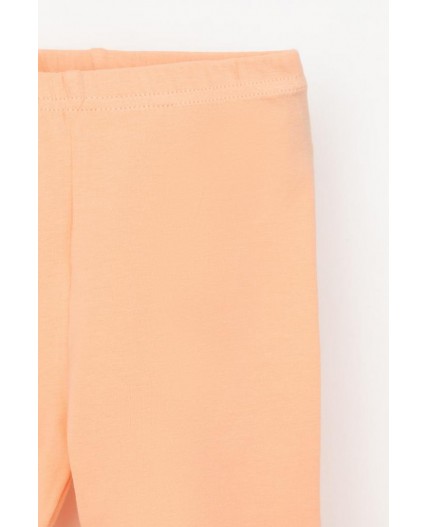 КР 4036/бегония к555 шорты (велосипедки)