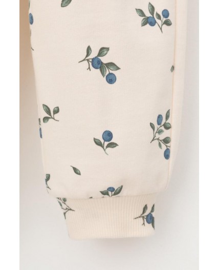 КР 400816/айвори,голубика к561 брюки