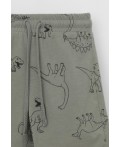 КР 400666/зеленый чай,динозавры к552 шорты