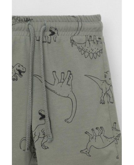 КР 400666/зеленый чай,динозавры к552 шорты