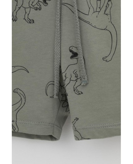 КР 400666/зеленый чай,динозавры к552 шорты