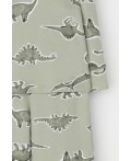 К 1552/шалфей,дино рисунки пижама