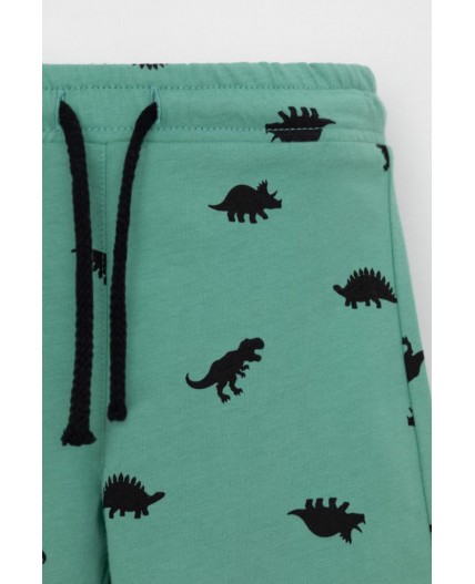 КР 400666/малахитово-зеленый,дино к558 шорты