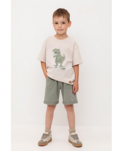 КР 400642-1/зеленый чай к554 шорты