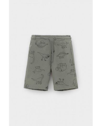 КР 400793-1/зеленый чай,динозавры к554 шорты