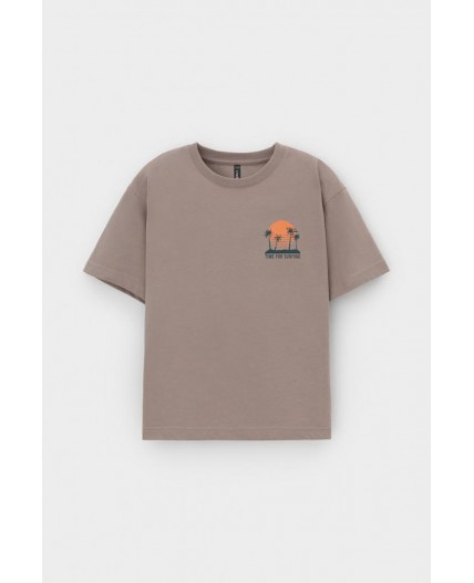 КР 302732-1/коричневый к556 фуфайка (футболка)