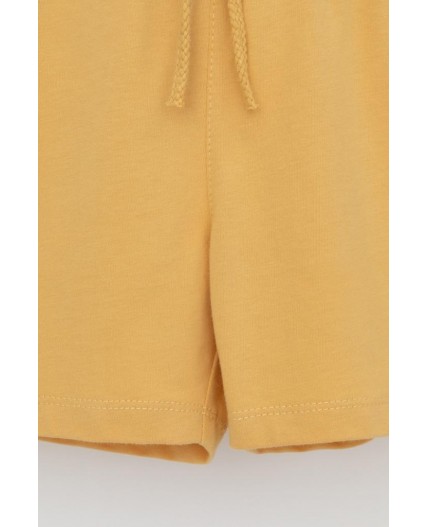 КР 400658/золотистая пшеница к564 шорты