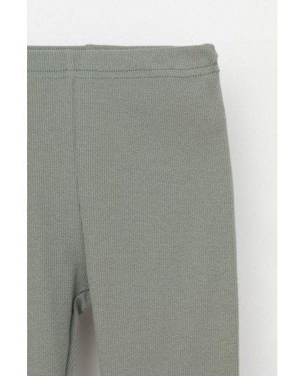 КР 400556-1/зеленый чай к565 шорты (велосипедки)