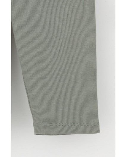 КР 400556-1/зеленый чай к565 шорты (велосипедки)