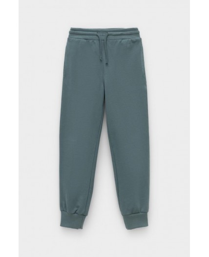 КР 400813-1/темный малахит к556 брюки