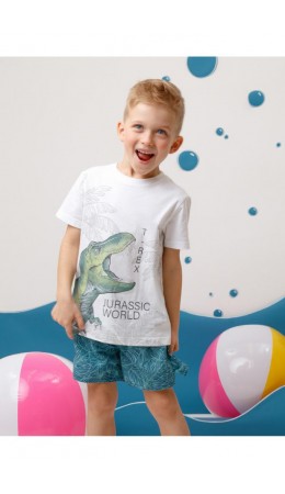 ТК 19012/3н ФВ купальн шорты