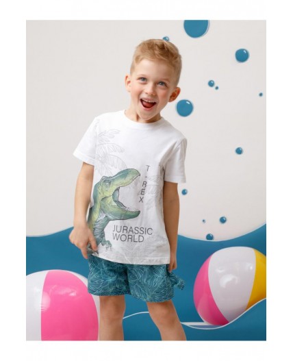 ТК 19012/3н ФВ купальн шорты