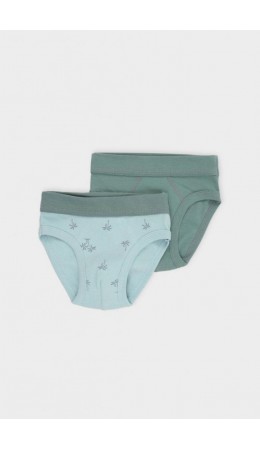 К 1907-2уп/полынь,голубая дымка,пальмы трусы