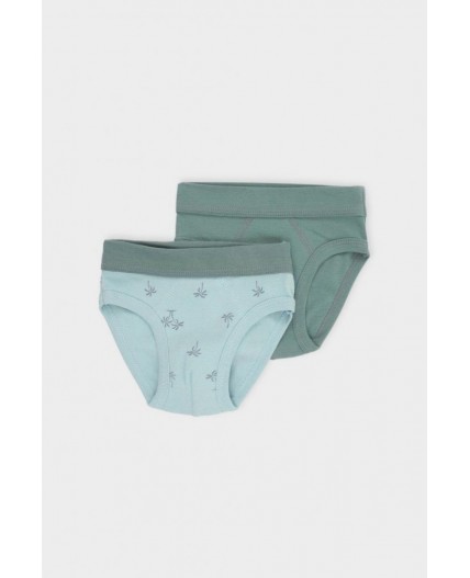 К 1907-2уп/полынь,голубая дымка,пальмы трусы