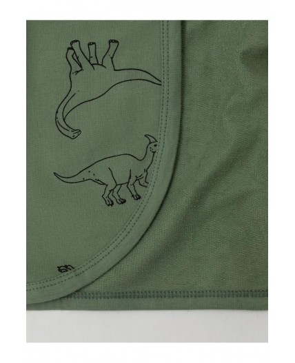 К 5763/зеленый камень,динозавры халат