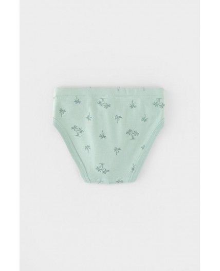 К 1928-3уп/полынь,голубая дымка,пальмы трусы