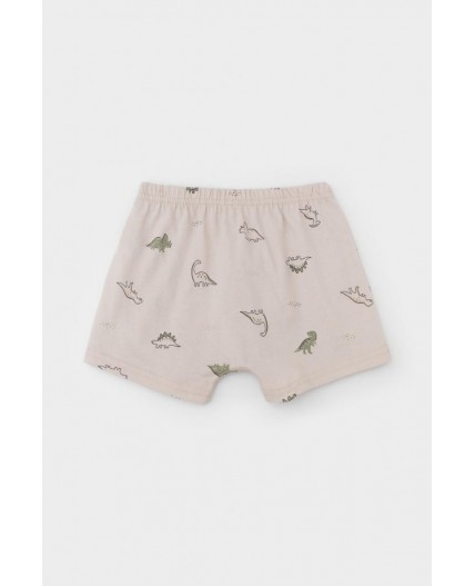 К 1930-2уп/индийский загар,бежевый,динозаврики трусы