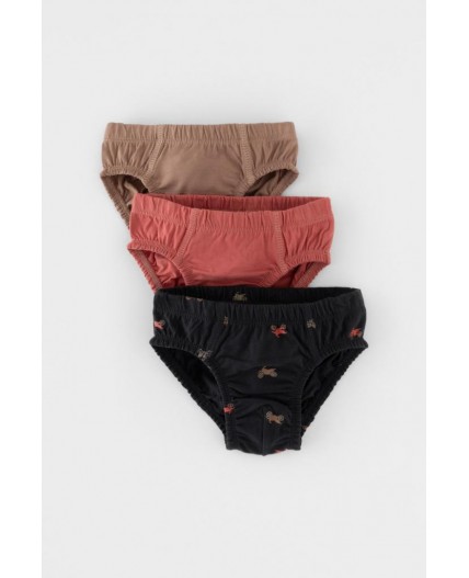 К 1966-3уп/холодный какао,пыльный кедр,мотоциклы трусы