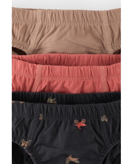 К 1966-3уп/холодный какао,пыльный кедр,мотоциклы трусы