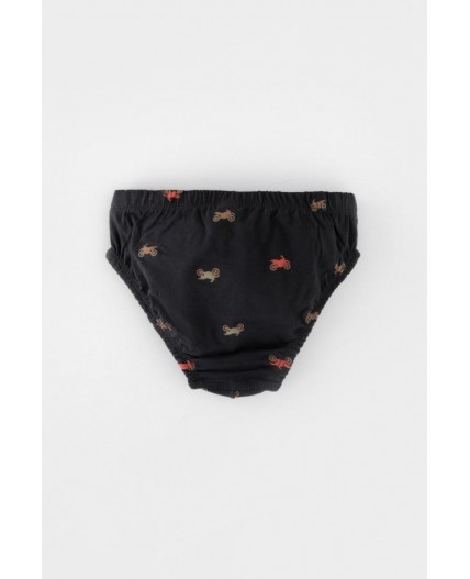 К 1966-3уп/холодный какао,пыльный кедр,мотоциклы трусы