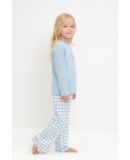 К 1623/голубое стекло,клетка пижама