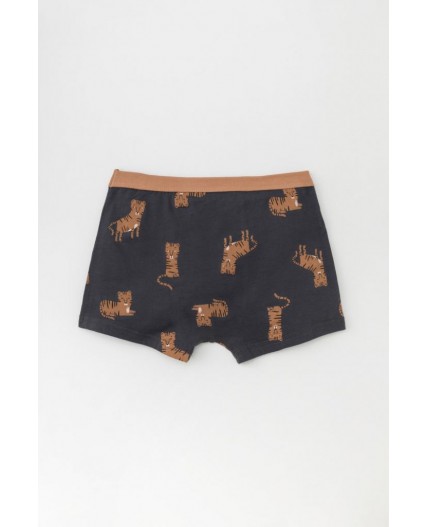 К 1980-2уп/индийский загар,темно-серый,тигры Ал набор трусы