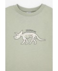 К 1600/шалфей,маленькие динозавры пижама