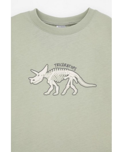 К 1600/шалфей,маленькие динозавры пижама