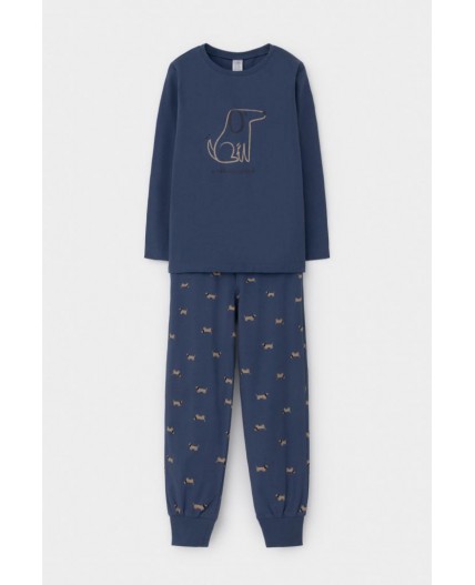 К 1606/грозовая туча,таксы пижама