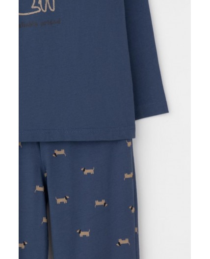 К 1606/грозовая туча,таксы пижама