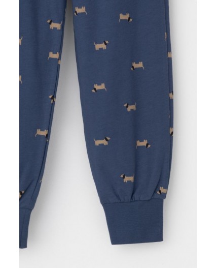 К 1606/грозовая туча,таксы пижама