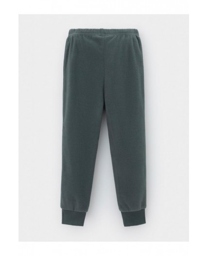 ФЛ 40006-1/10 ГР брюки